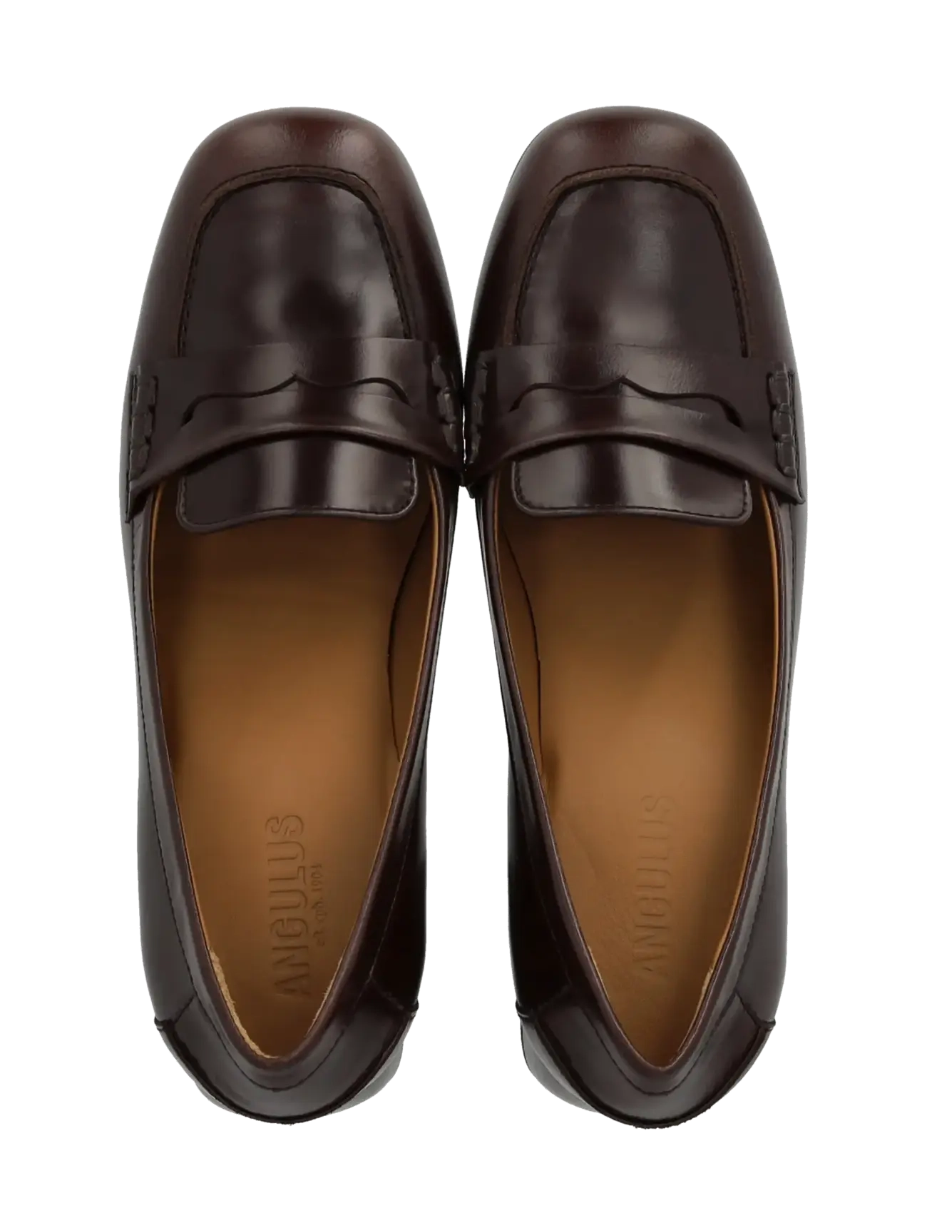 ANGULUS - Pump - modetrends - 1836 dark brown - 3
