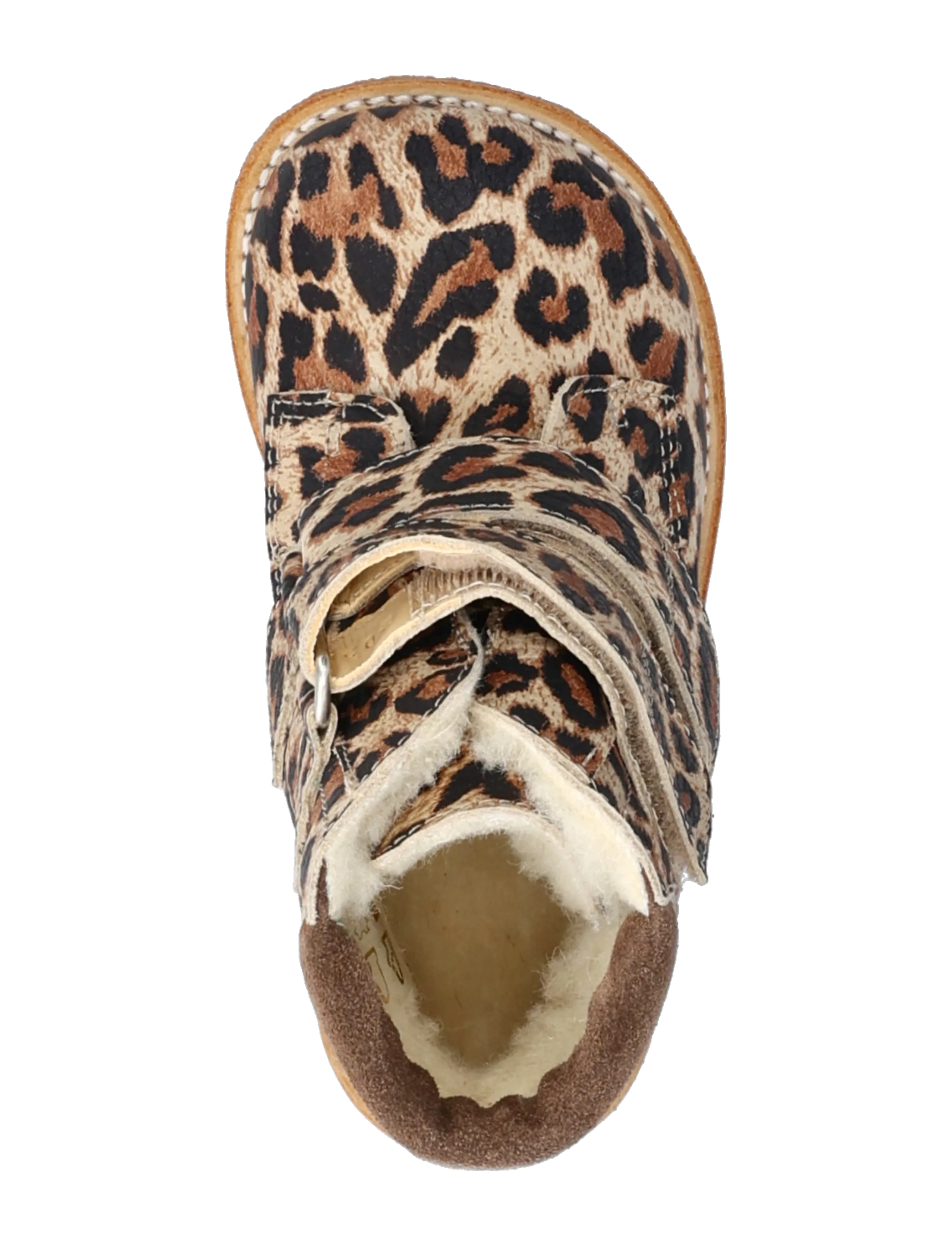 ANGULUS - Boots - flat - with velcro - skor - 4020/1780 beige leo/taupe - 3