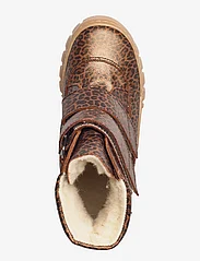 ANGULUS - Boots - flat - with velcro - bērniem - 2162 brown leo - 3