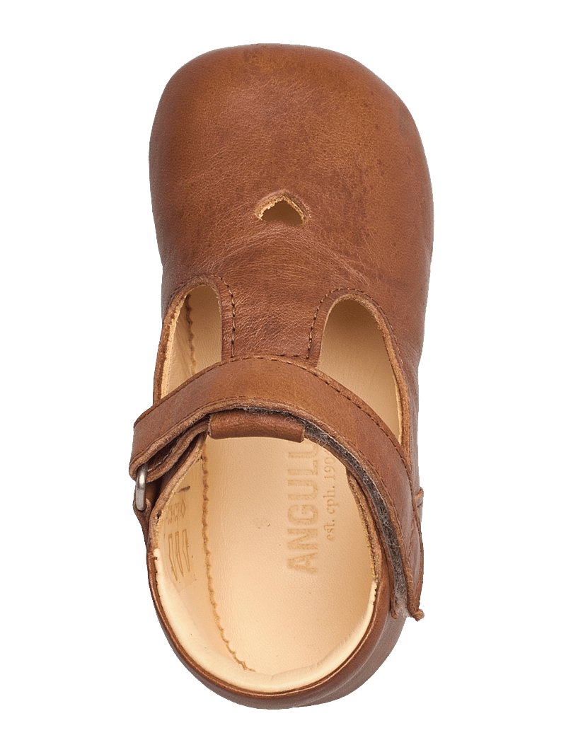 ANGULUS - Indoor - skor - 1545 cognac - 3