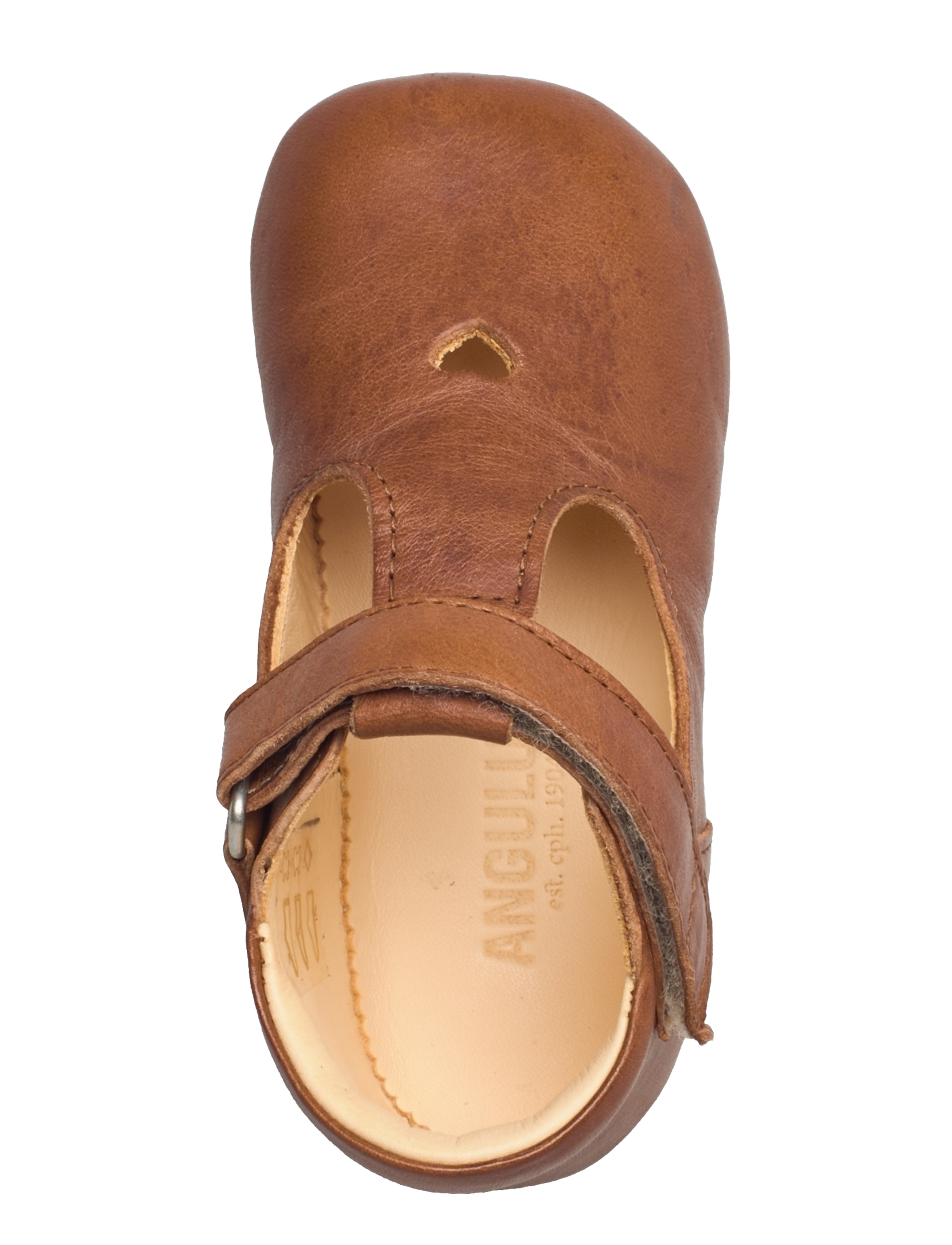 ANGULUS - Indoor - 1545 cognac - 3