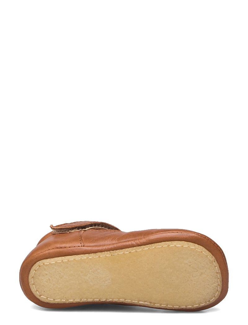 ANGULUS - Indoor - skor - 1545 cognac - 4