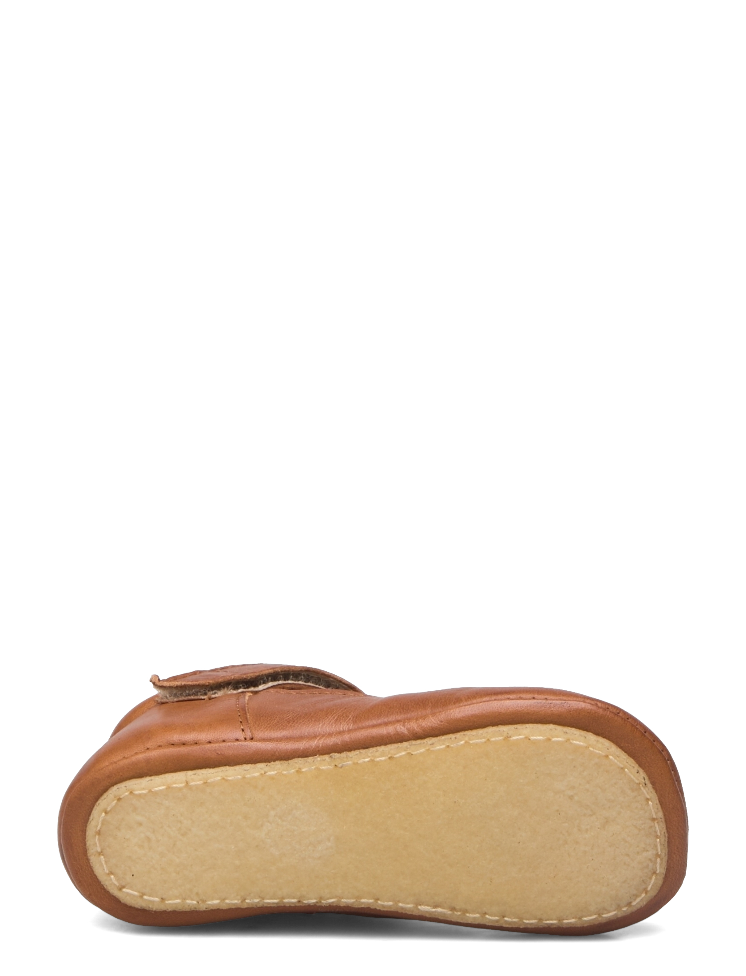 ANGULUS - Indoor - 1545 cognac - 4