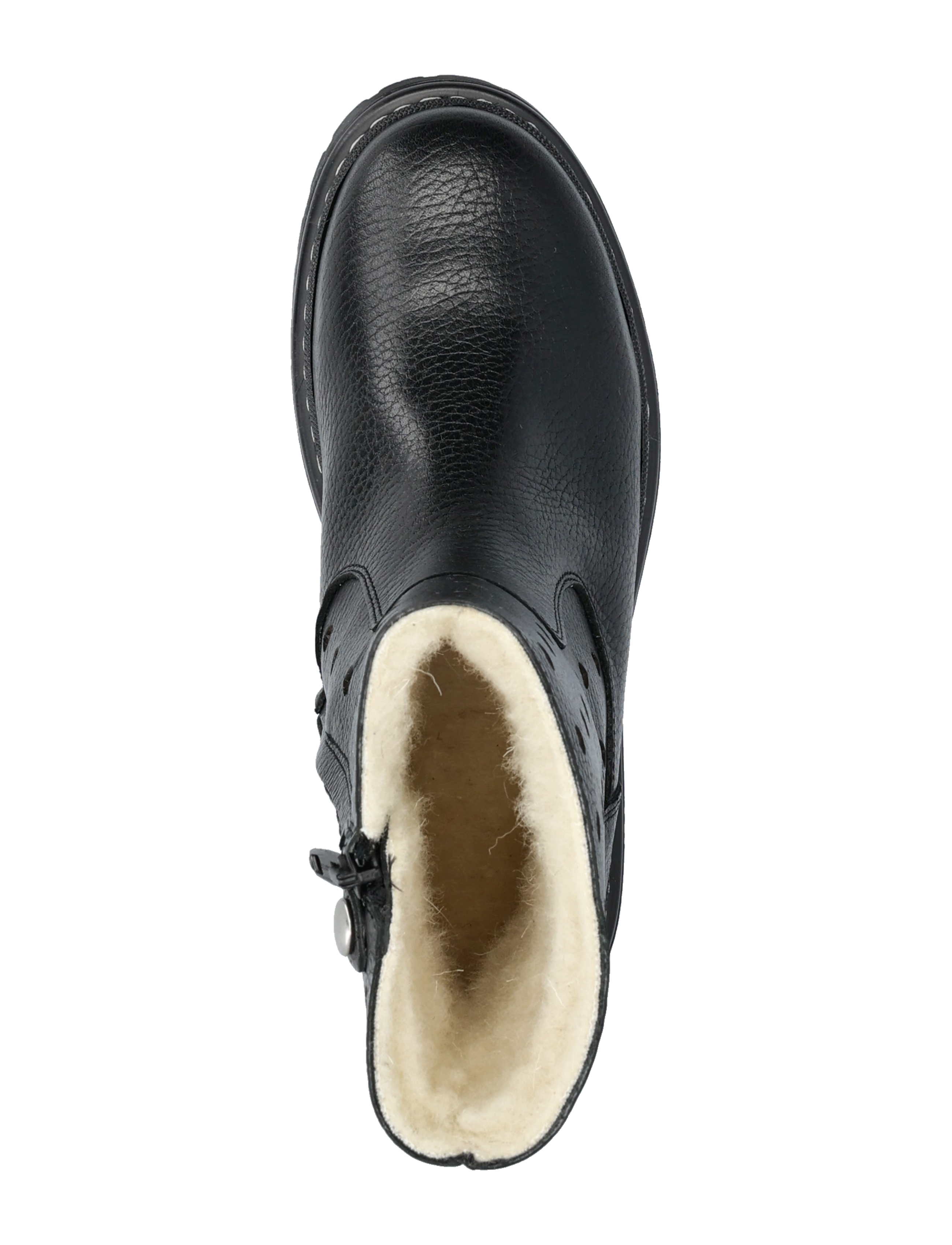 ANGULUS - Boots - flat - with zipper - herbstschuhe - 2504 black - 3