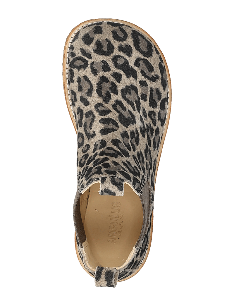 ANGULUS - Booties - flat - with elastic - skor - 4023/003 beige leo/brown elast - 3