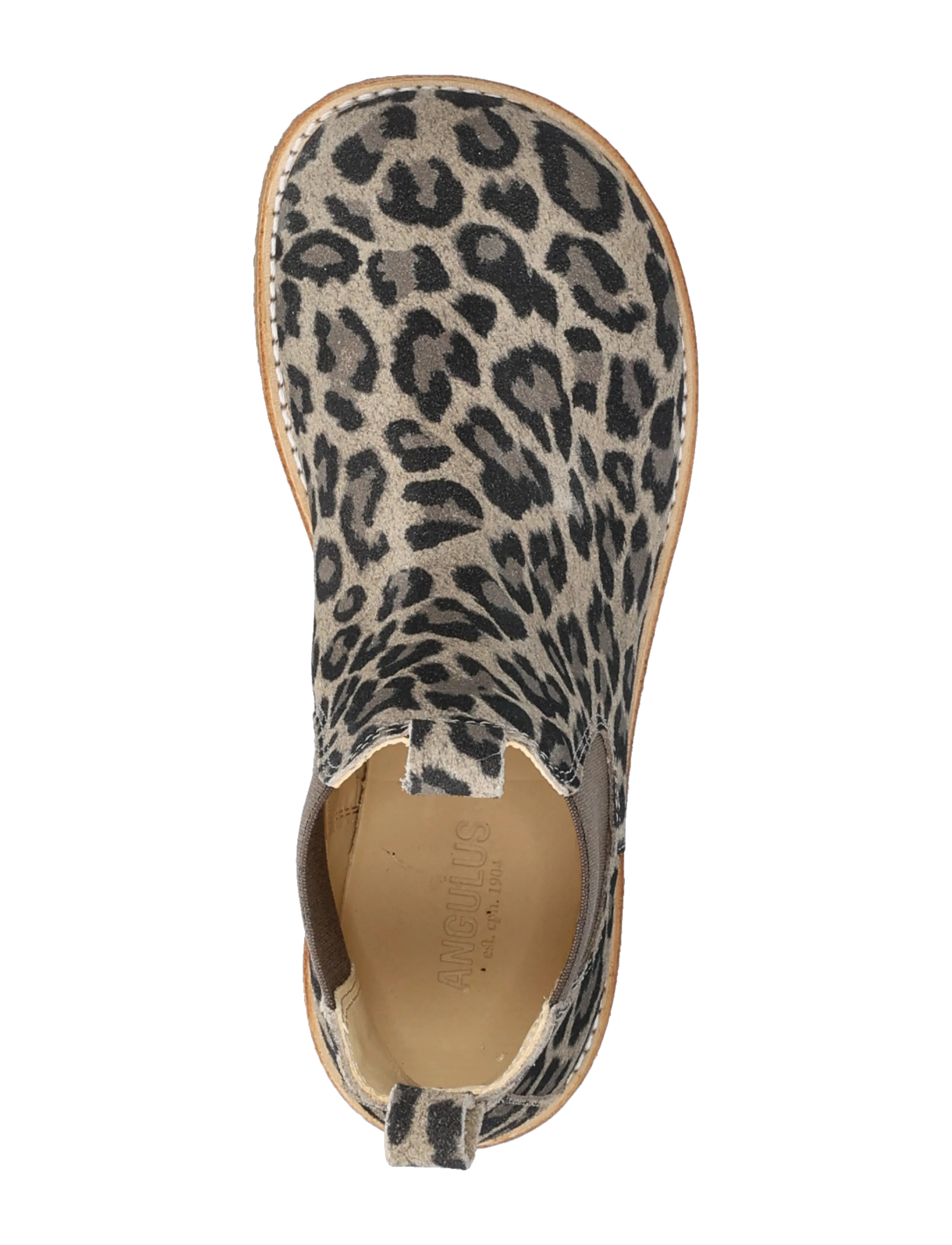 ANGULUS - Booties - flat - with elastic - fall shoes - 4023/003 beige leo/brown elast - 3
