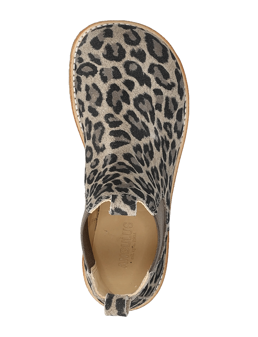ANGULUS - Booties - flat - with elastic - skor - 4023/003 beige leo/brown elast - 3