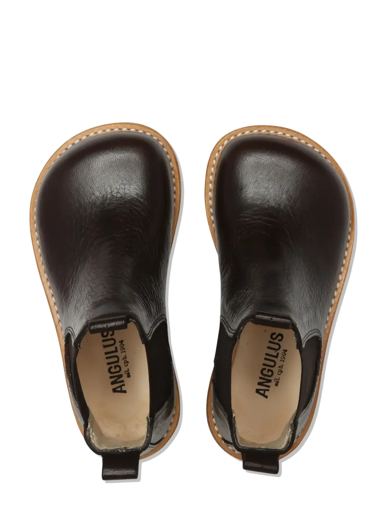 ANGULUS - Booties - flat - with elastic - boots - 2504/001 black/black - 2
