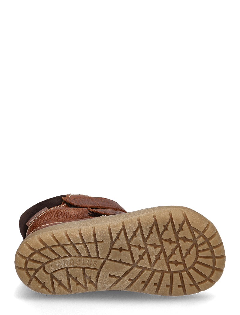 ANGULUS - Boots - flat - with velcro - sko - 2101/2509/2719/1779 cognac/cog - 5