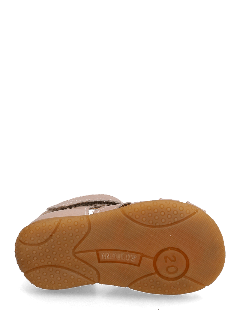 ANGULUS - Sandals - flat - closed toe - sko - 3203/3222 rosebud/rosebud - 5