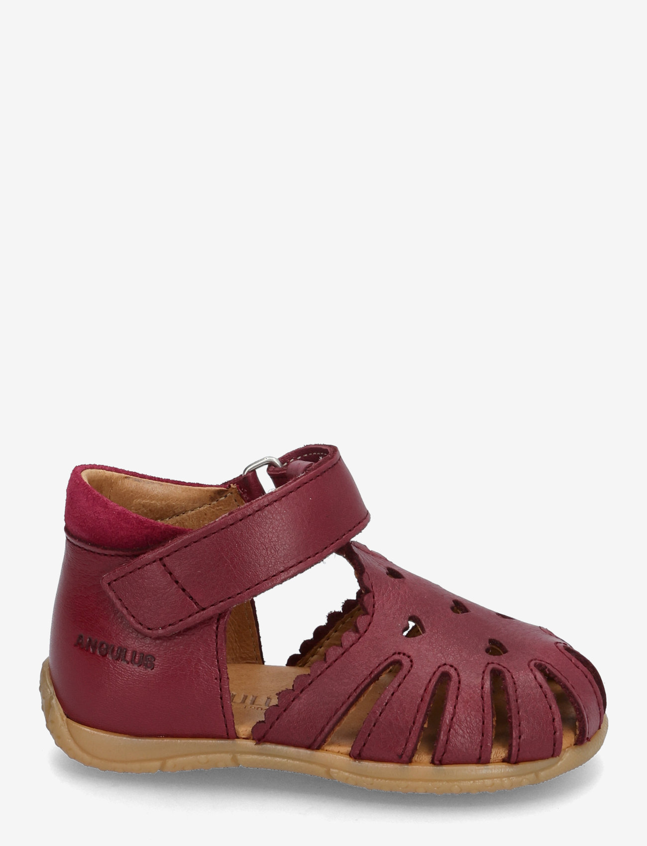 ANGULUS - Sandals - flat  - closed toe - schuhe - 3215/2739 berry/berry - 1