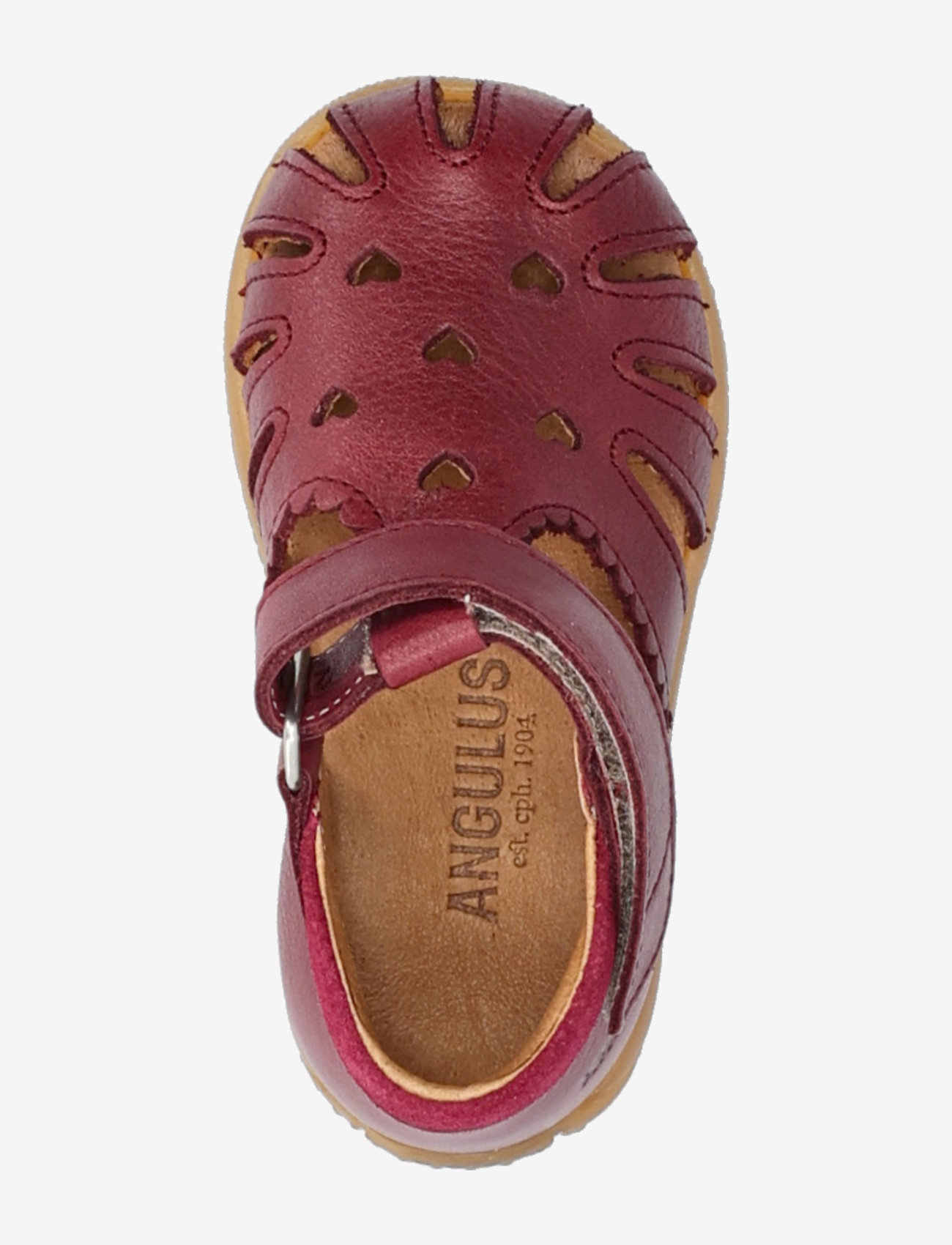ANGULUS - Sandals - flat  - closed toe - schuhe - 3215/2739 berry/berry - 3