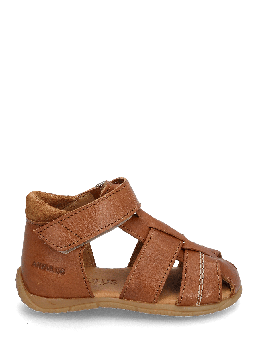 ANGULUS - Sandals - flat - closed toe - kingad - 1545/2219 cognac/cognac - 2