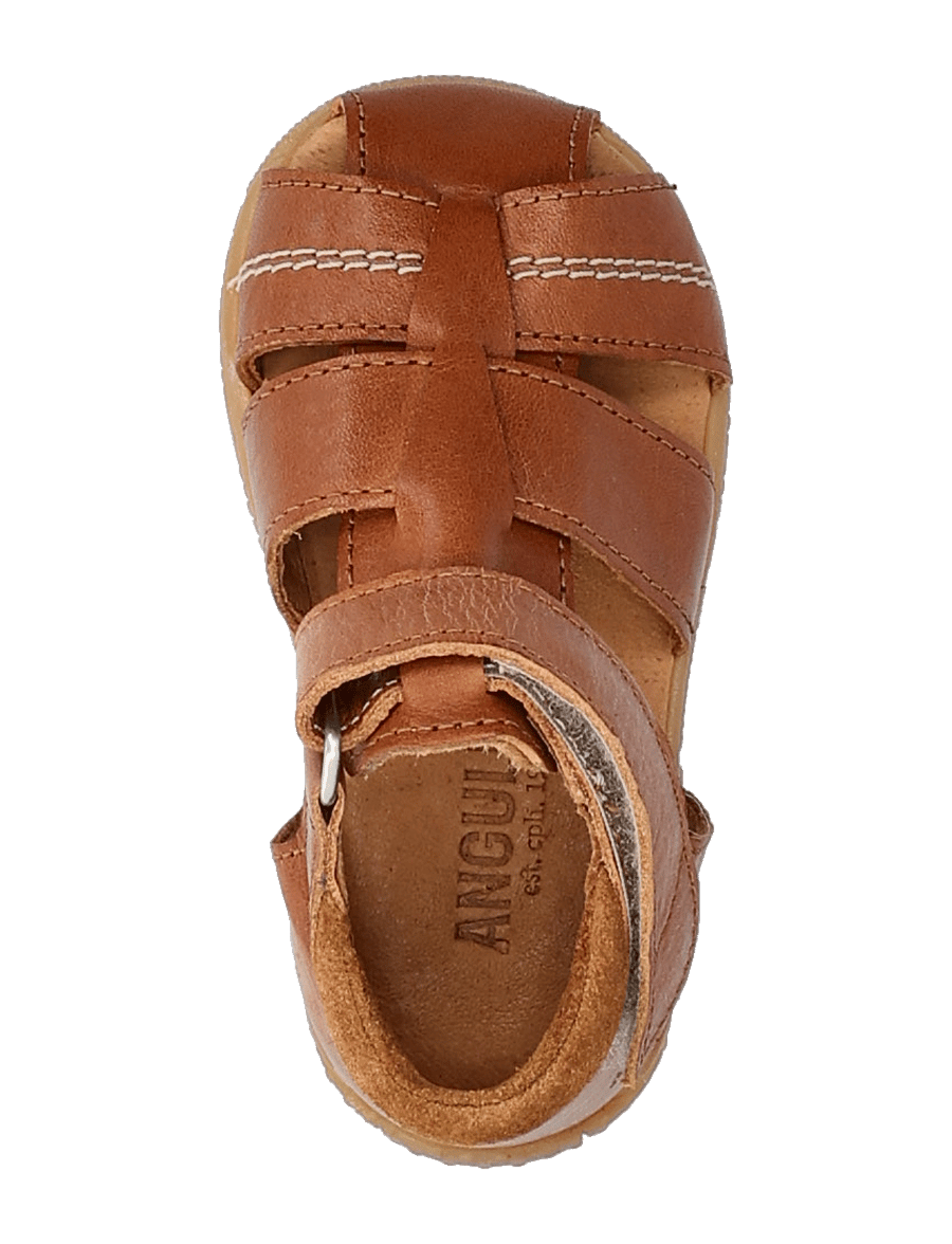 ANGULUS - Sandals - flat - closed toe - kingad - 1545/2219 cognac/cognac - 4