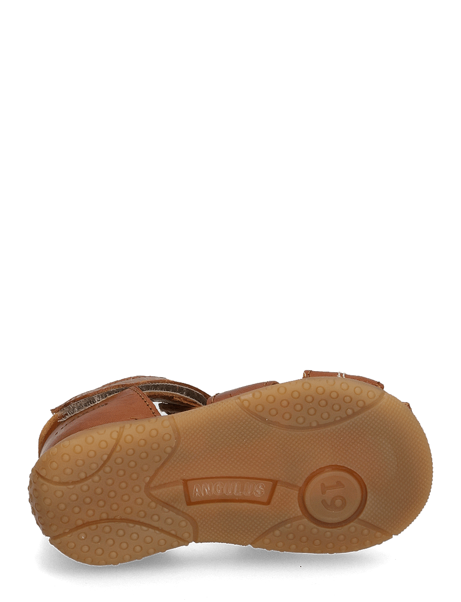ANGULUS - Sandals - flat - closed toe - kingad - 1545/2219 cognac/cognac - 5