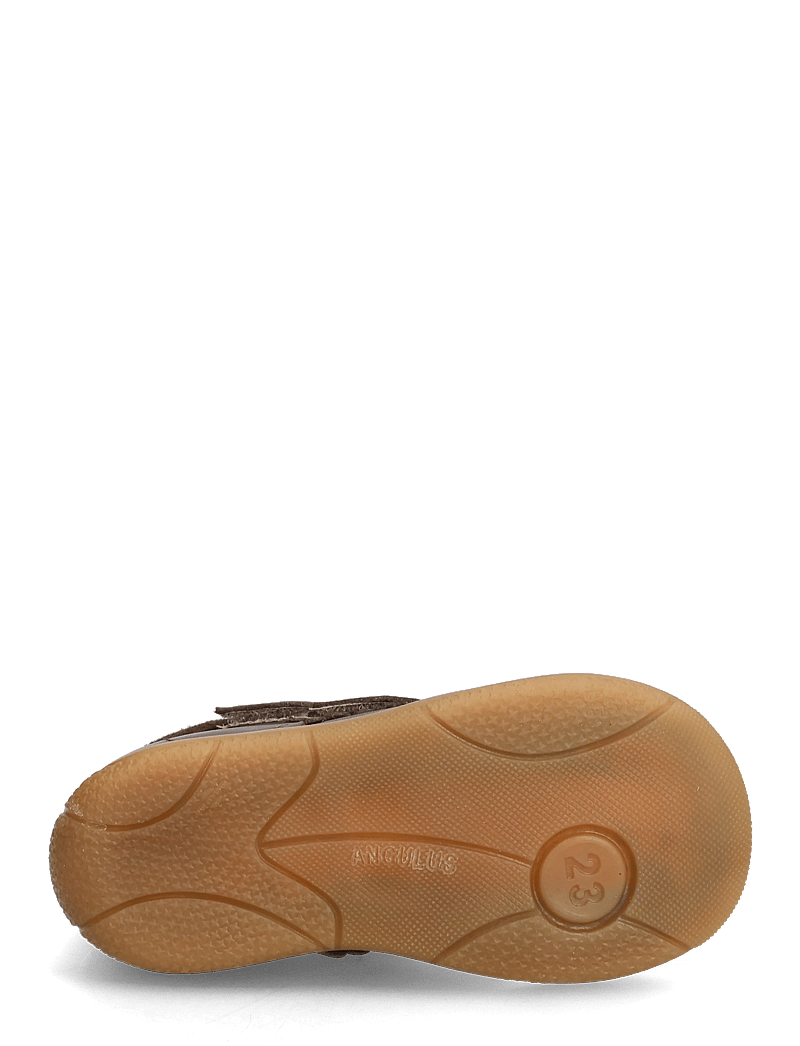 ANGULUS - Shoes - flat - with velcro - kingad - 4073/1780 dark taupe/dark taup - 4