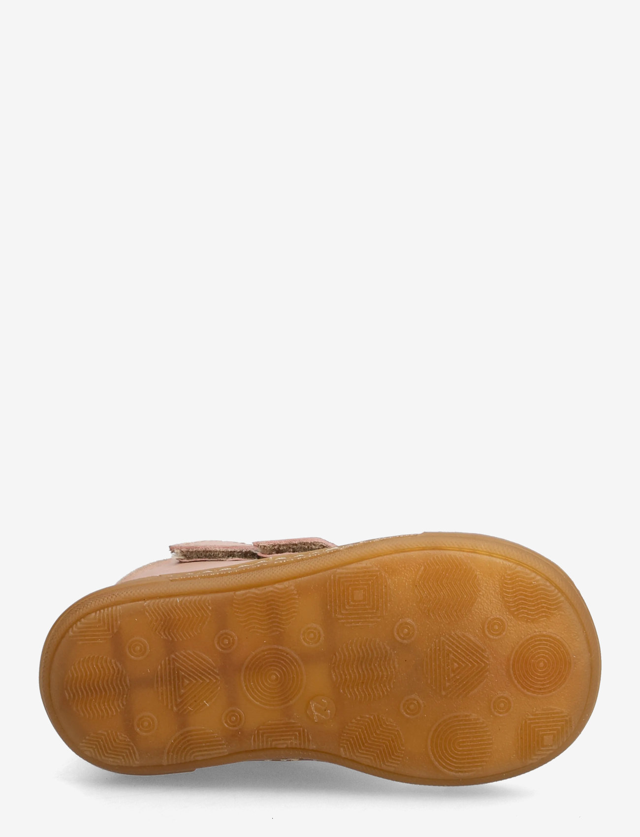 ANGULUS - Booties - flat - with velcro - sügisjalanõud - 3203/4018 rosebud/rose - 4