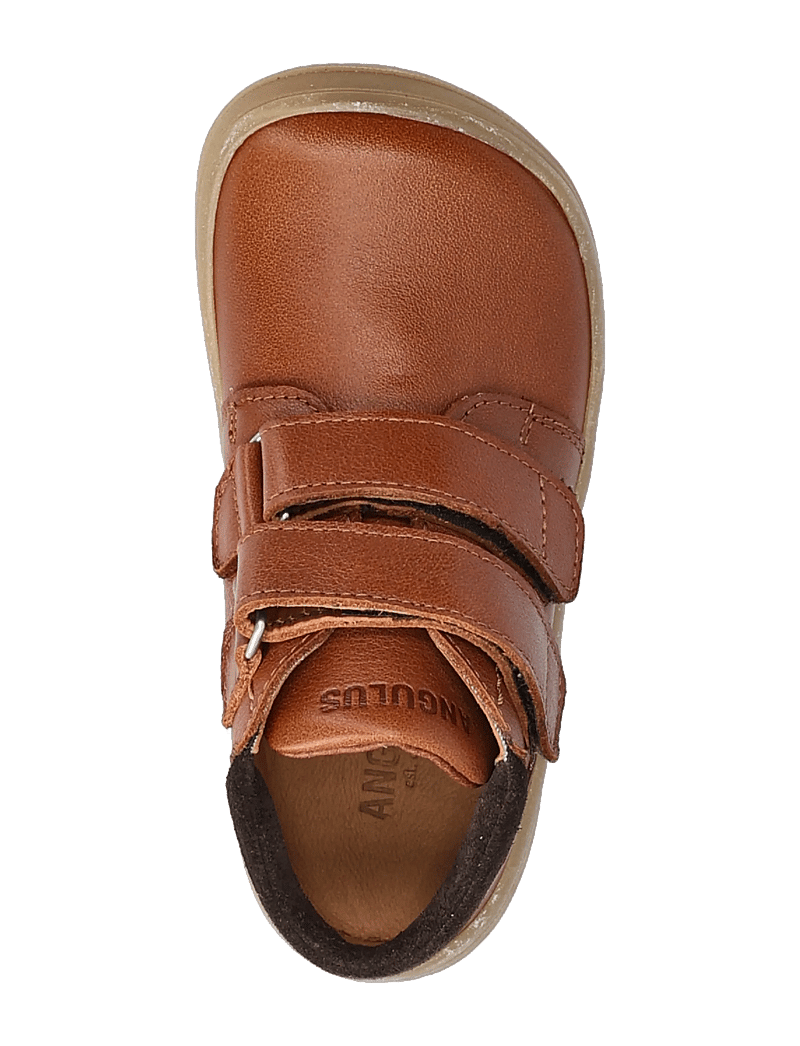 ANGULUS - Shoes - flat - with velcro - skor - 3260/1779 cognac/dark brown - 3