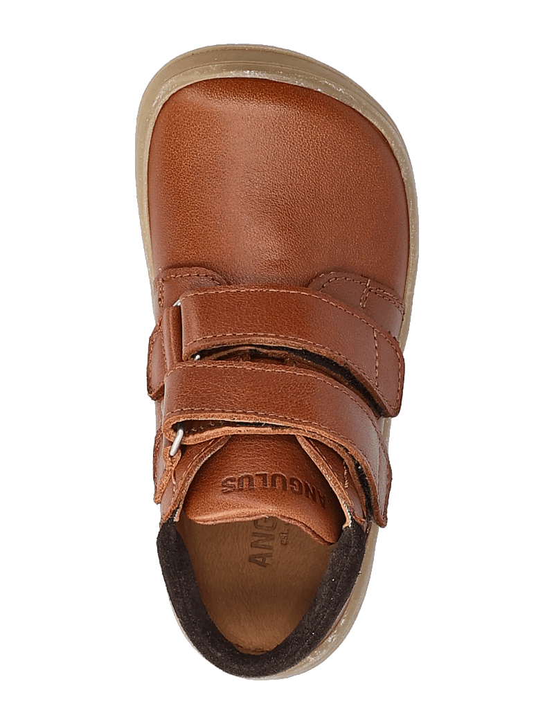 ANGULUS - Shoes - flat - with velcro - kingad - 3260/1779 cognac/dark brown - 3
