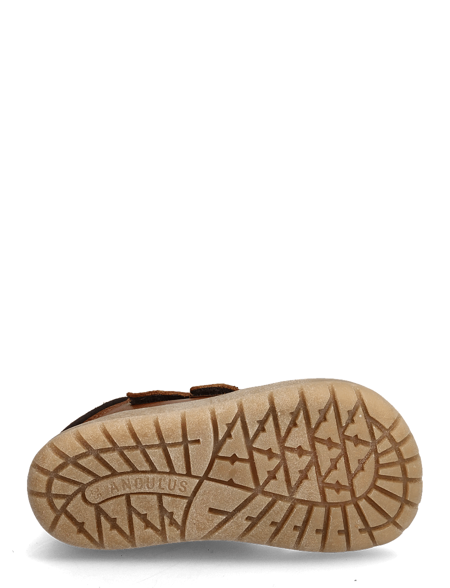 ANGULUS - Shoes - flat - with velcro - boots - 3260/1779 cognac/dark brown - 4
