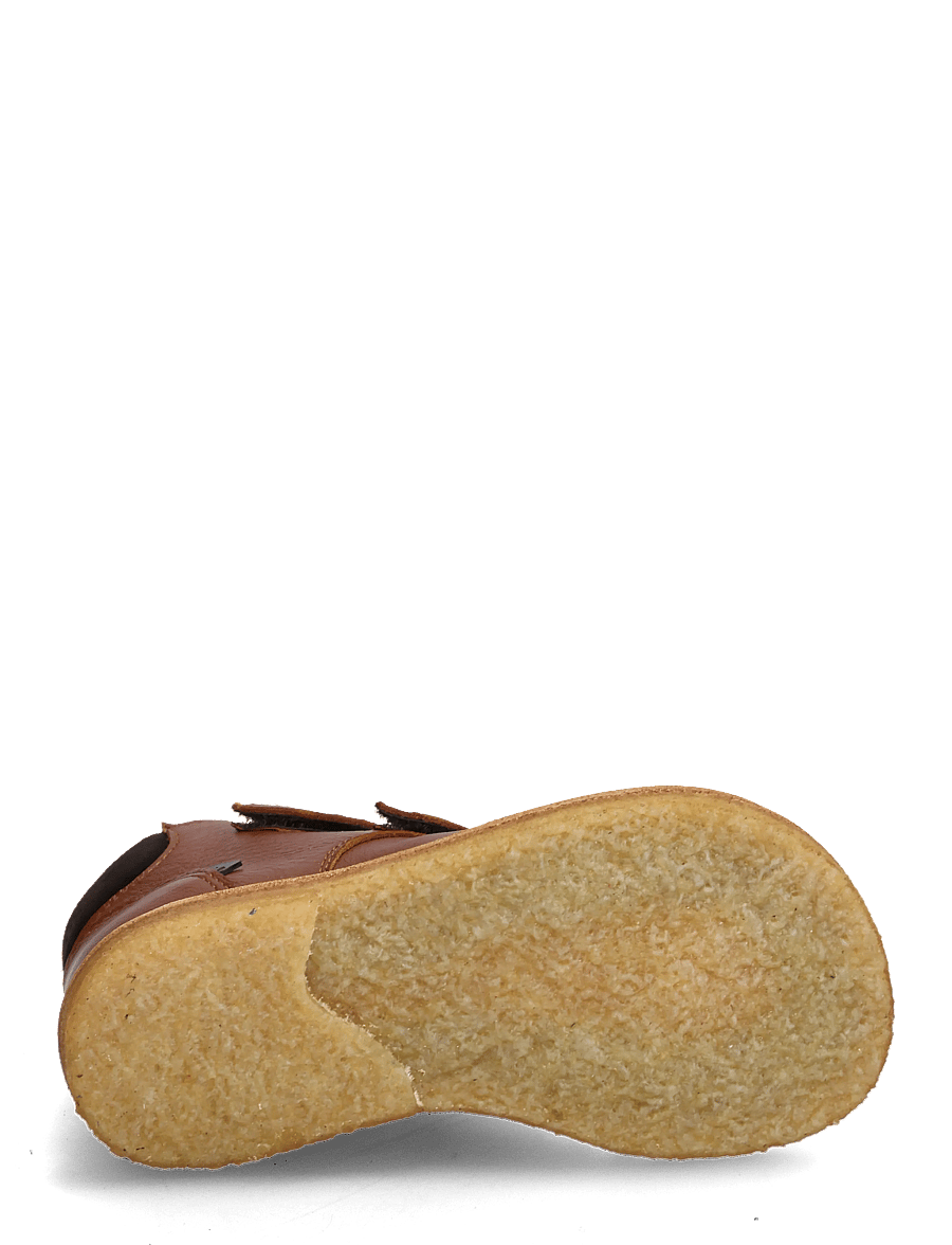 ANGULUS - Booties - flat - with velcro - sko - 3260/1779 cognac/dark brown - 5