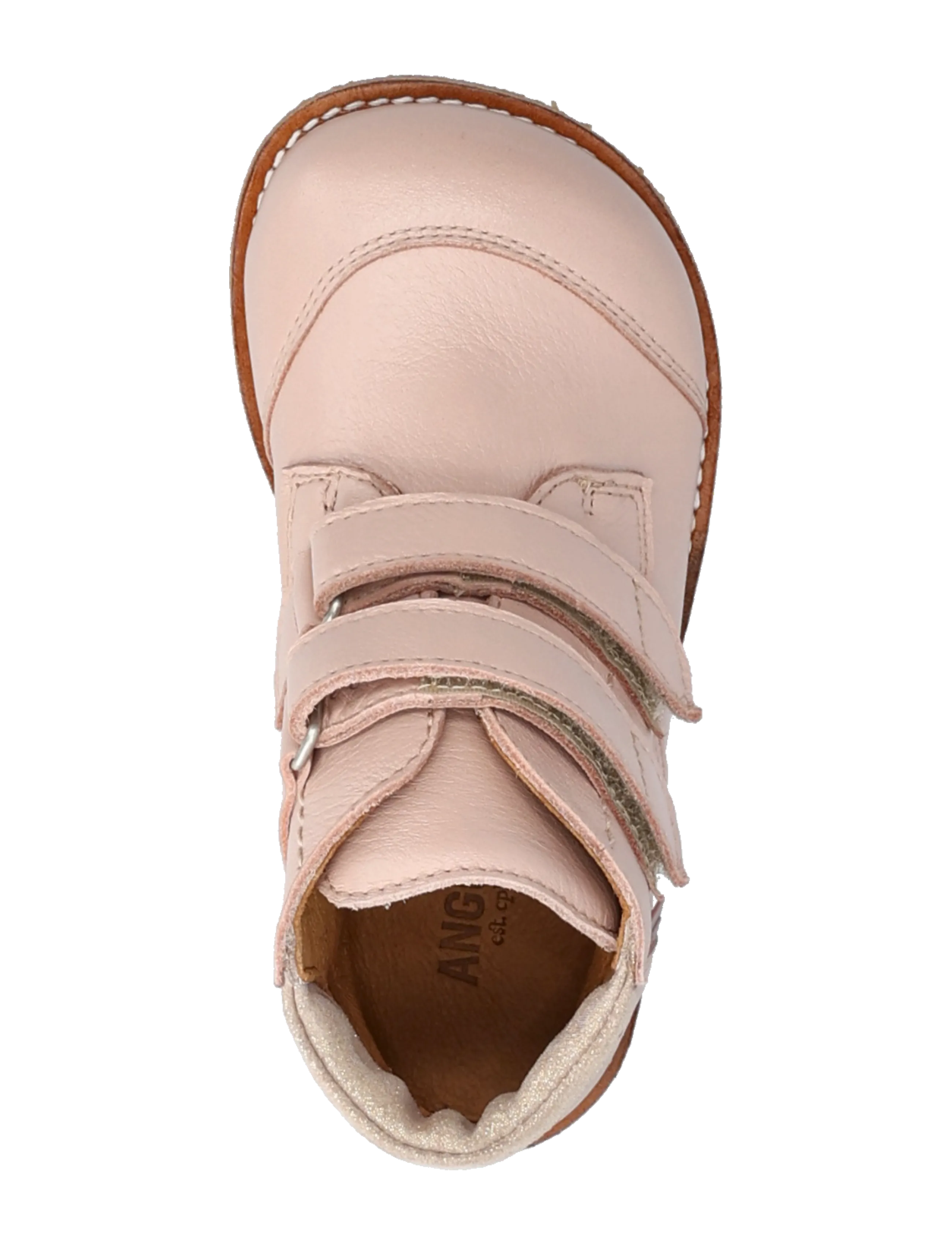 ANGULUS - Booties - flat - with velcro - sügisjalanõud - 3263/4018 rosebud/rose - 3
