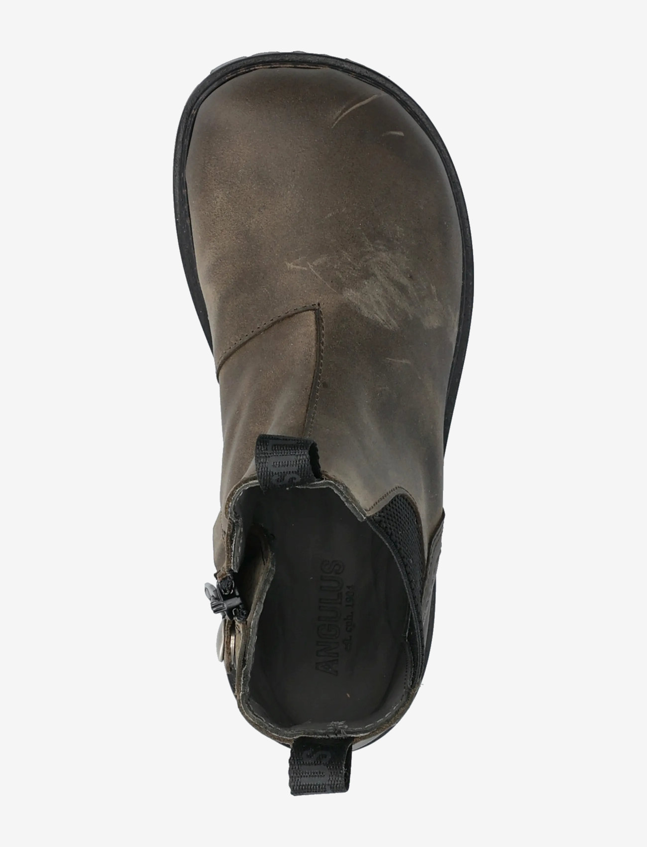ANGULUS - Booties - flat - with zipper - efterårssko - 1764/053 dark olive/black elas - 3