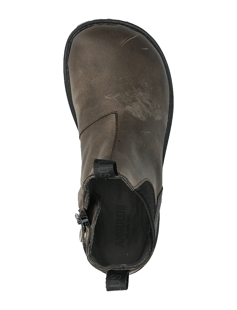 ANGULUS - Booties - flat - with zipper - stövlar & kängor - 1764/053 dark olive/black elas - 4