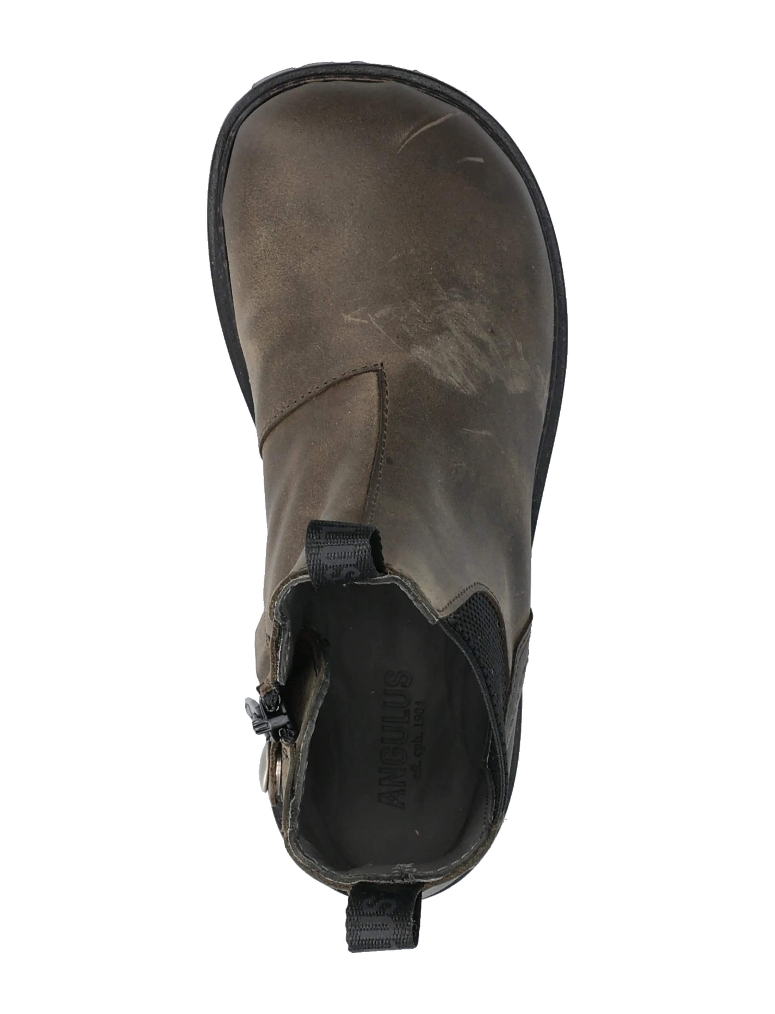 ANGULUS - Booties - flat - with zipper - stövlar & kängor - 1764/053 dark olive/black elas - 4
