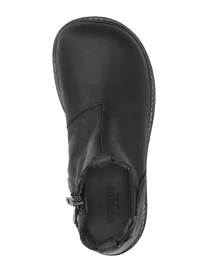 ANGULUS - Booties - flat - with zipper - saapad - 1652/053 black/black - 4