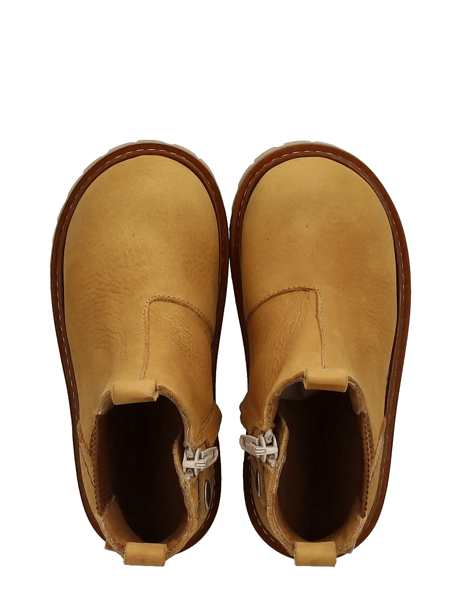 ANGULUS - Booties - flat - with zipper - stiefel - 2580/040 ocher/cognac - 3