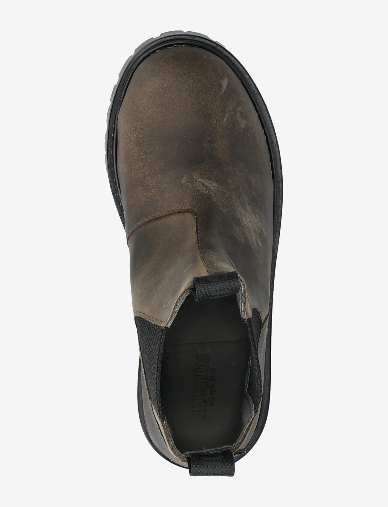 ANGULUS - Booties - flat - with elastic - kängor - 1764/053 dark olive/black elas - 3