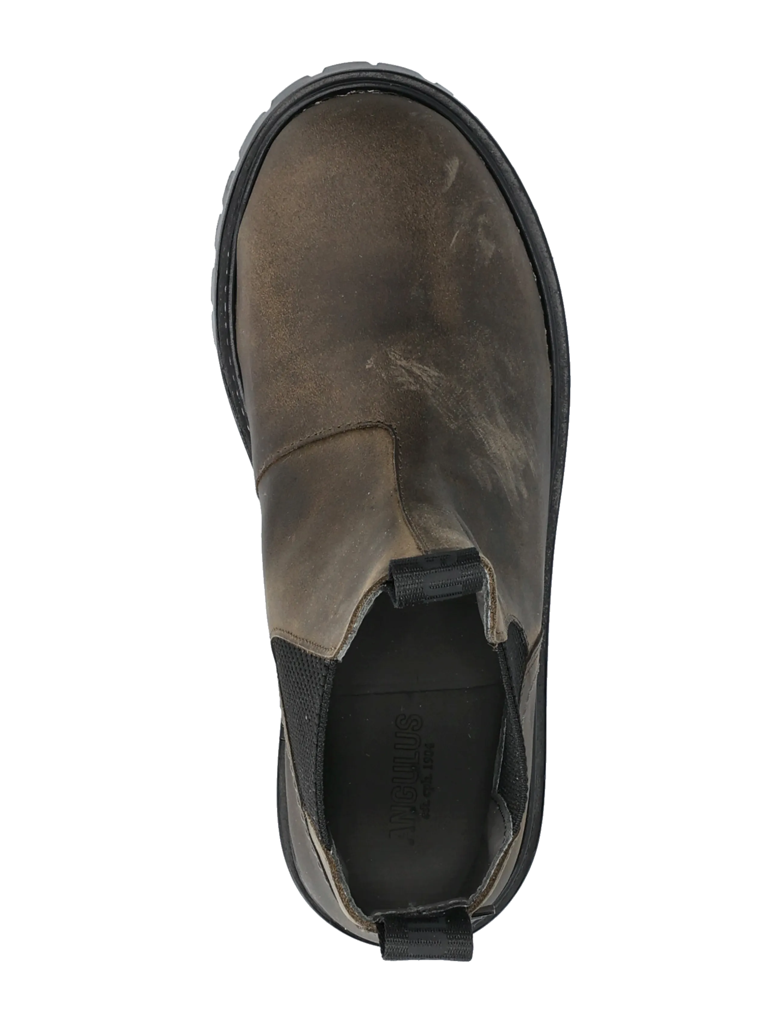 ANGULUS - Booties - flat - with elastic - stövlar & kängor - 1764/053 dark olive/black elas - 4