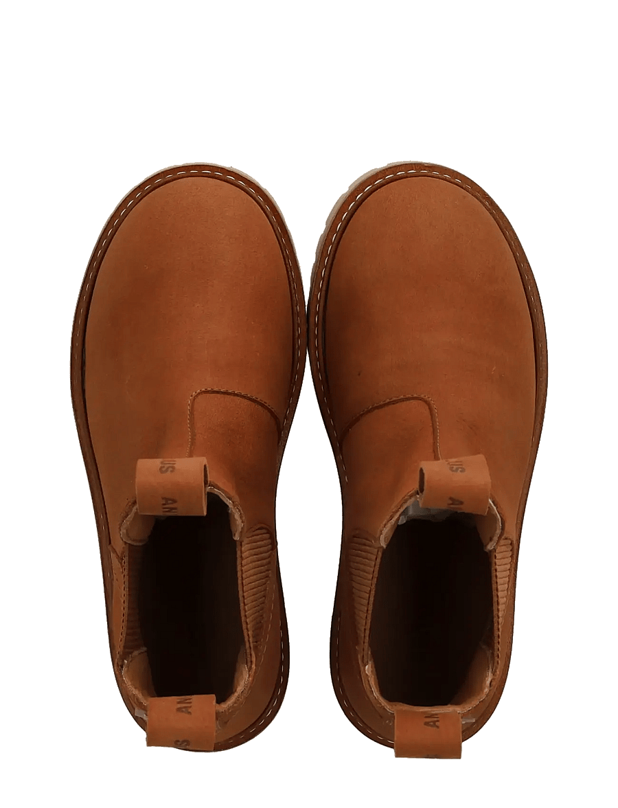ANGULUS - Booties - flat - with elastic - stiefel - 2583/040 cognac/c - 3