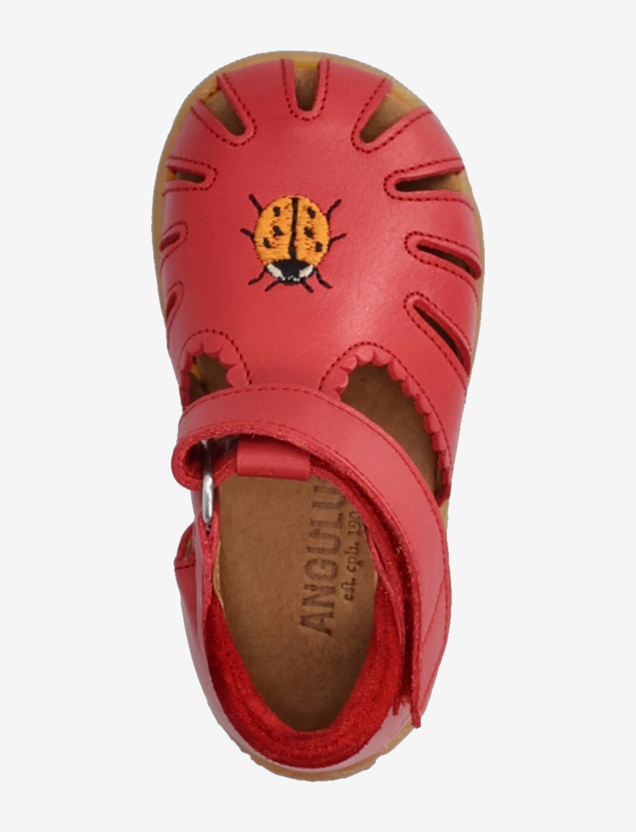 ANGULUS - Sandals - flat  - closed toe - kingad - 1731/1777 red/red - 3