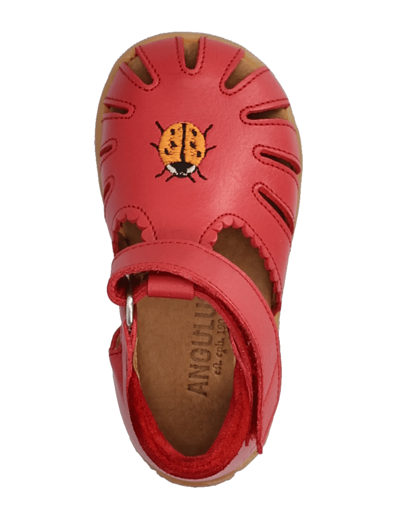 ANGULUS - Sandals - flat - closed toe - kingad - 1731/1777 red/red - 3