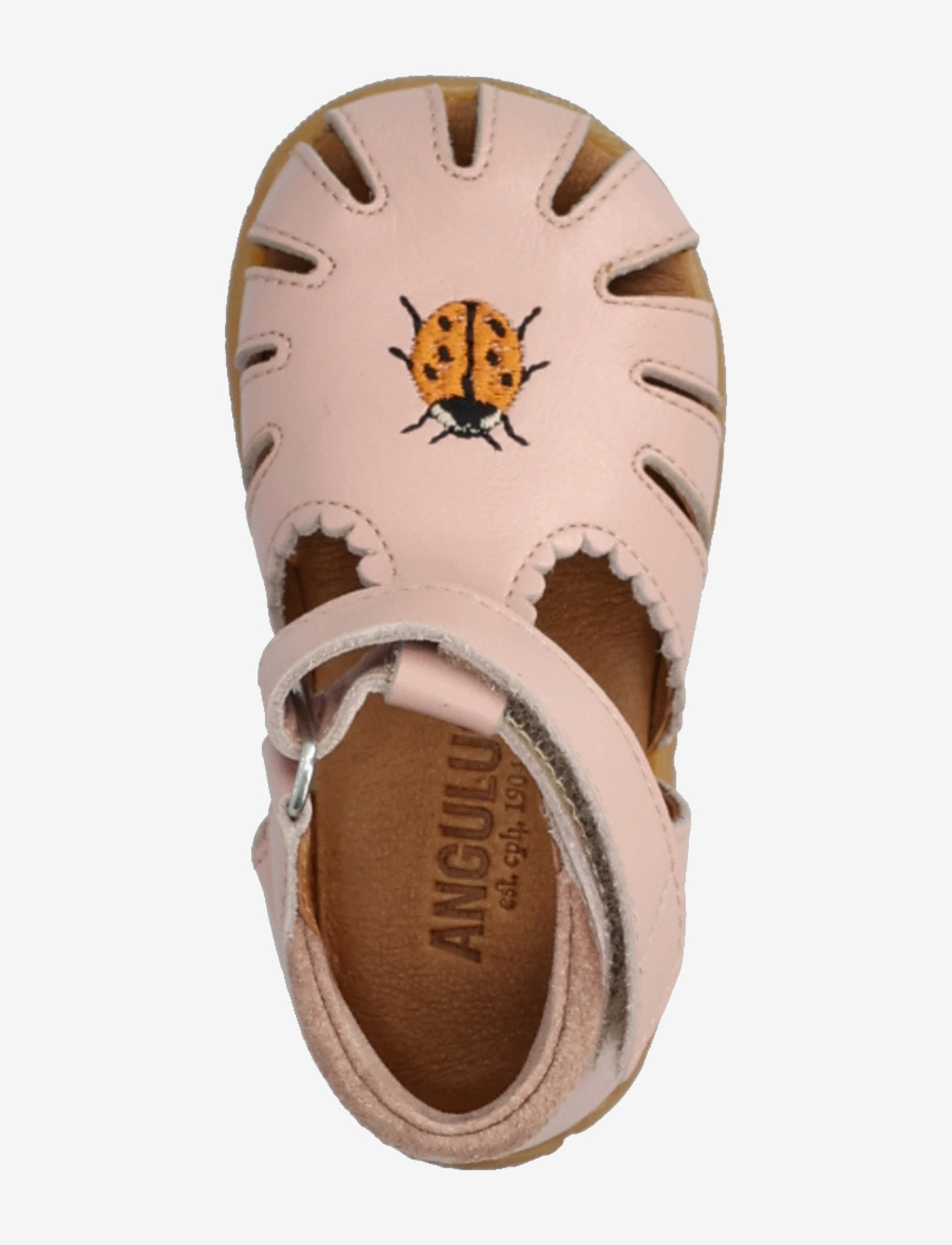 ANGULUS - Sandals - flat  - closed toe - kingad - 3203/3222 rosebud/rosebud - 4