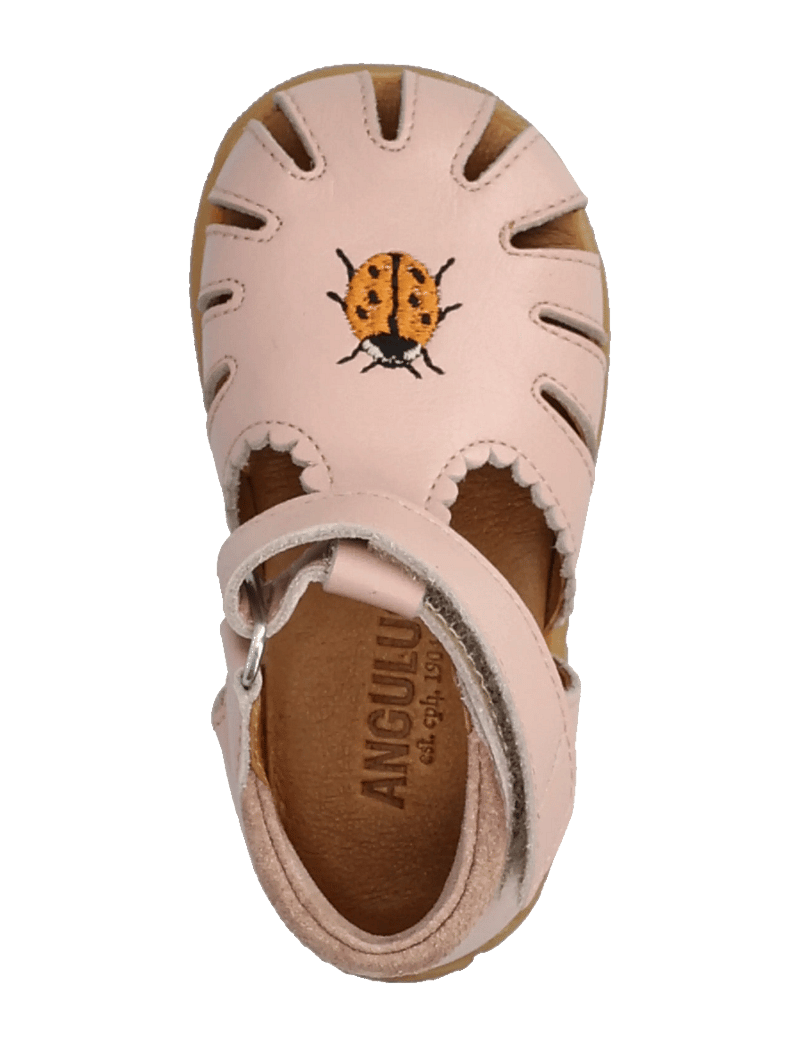 ANGULUS - Sandals - flat - closed toe - kingad - 3203/3222 rosebud/rosebud - 4