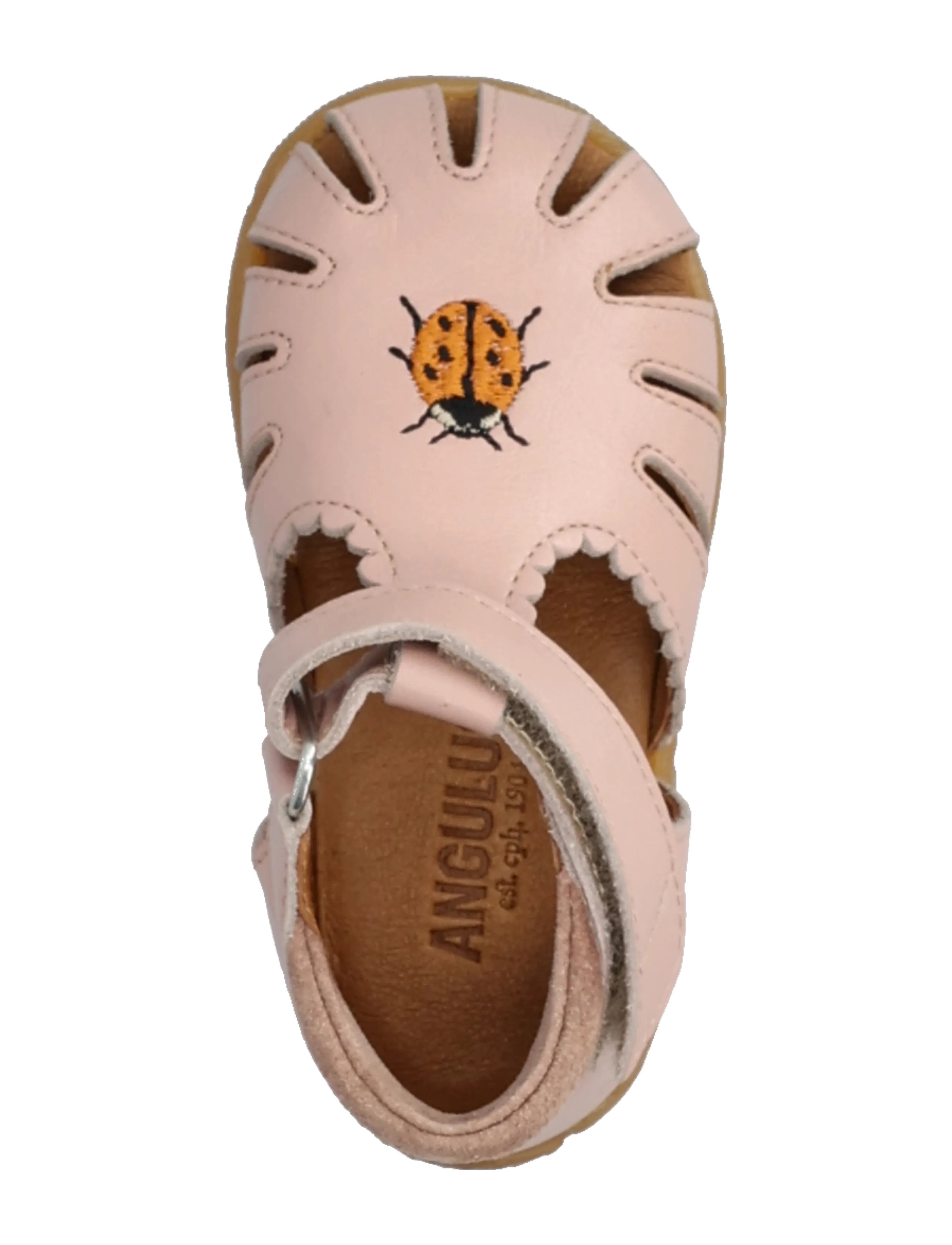 ANGULUS - Sandals - flat  - closed toe - schuhe - 3203/3222 rosebud/rosebud - 4
