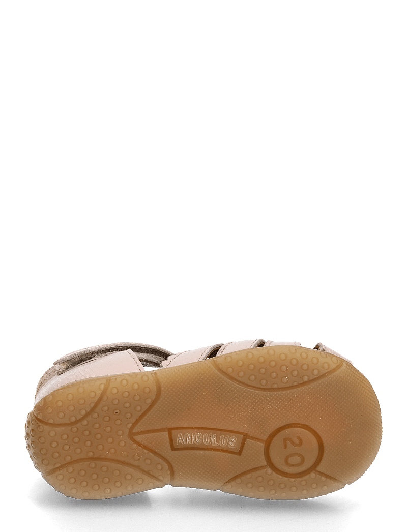 ANGULUS - Sandals - flat - closed toe - kingad - 3203/3222 rosebud/rosebud - 5
