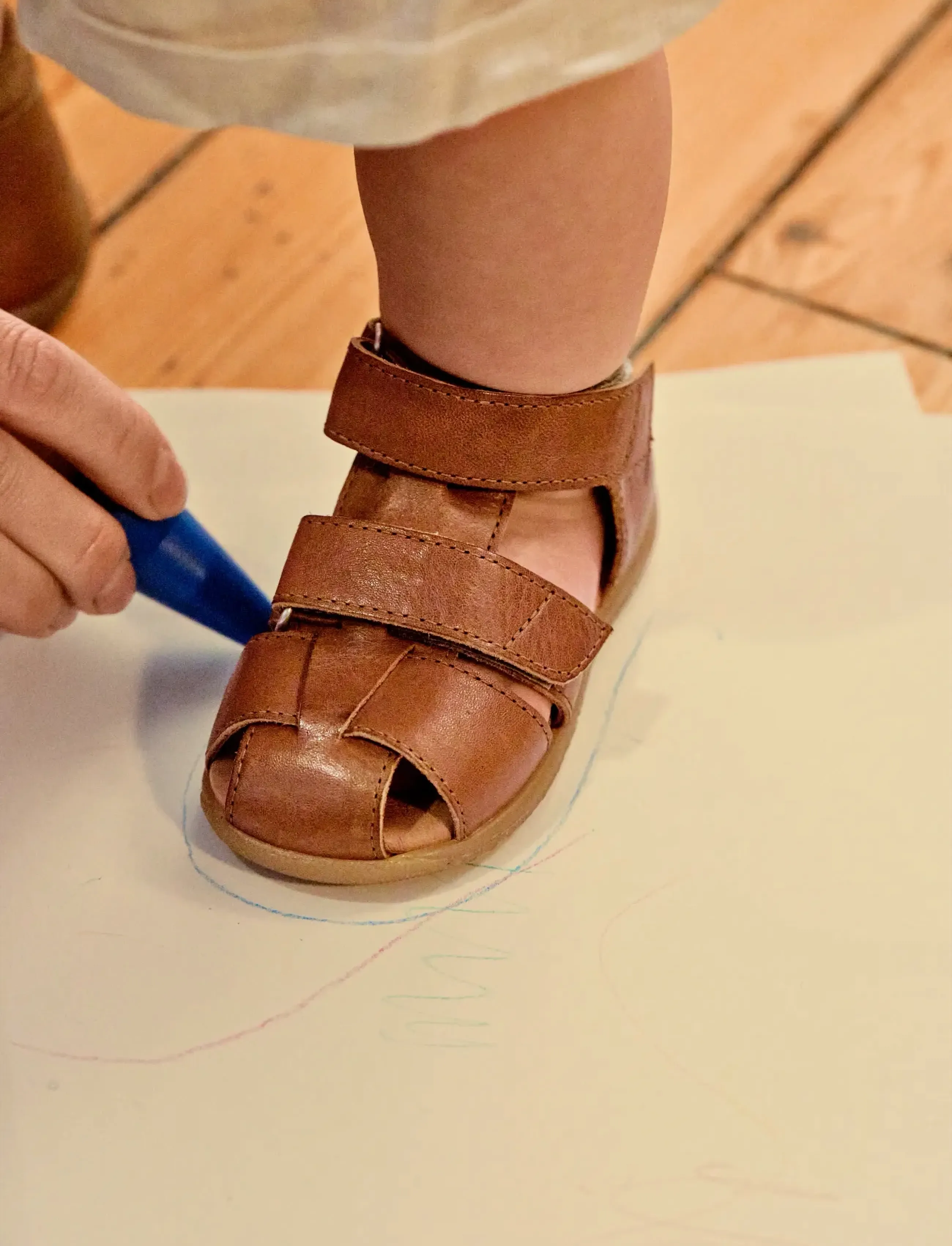 ANGULUS Sandals - Flat - Closed Toe, 19, Brown, Sommersko > Sandaler, Børn