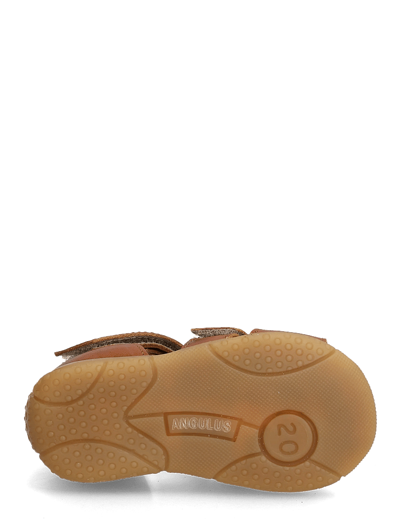 ANGULUS - Sandals - flat - closed toe - kingad - 1545/2219 cognac/cognac - 5