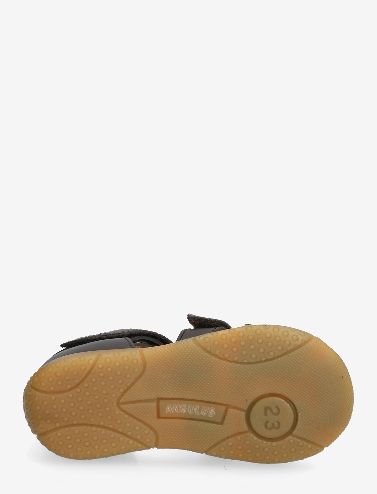 ANGULUS - Sandals - flat  - closed toe - shoes - 3200/1779 dark brown/dark brow - 4