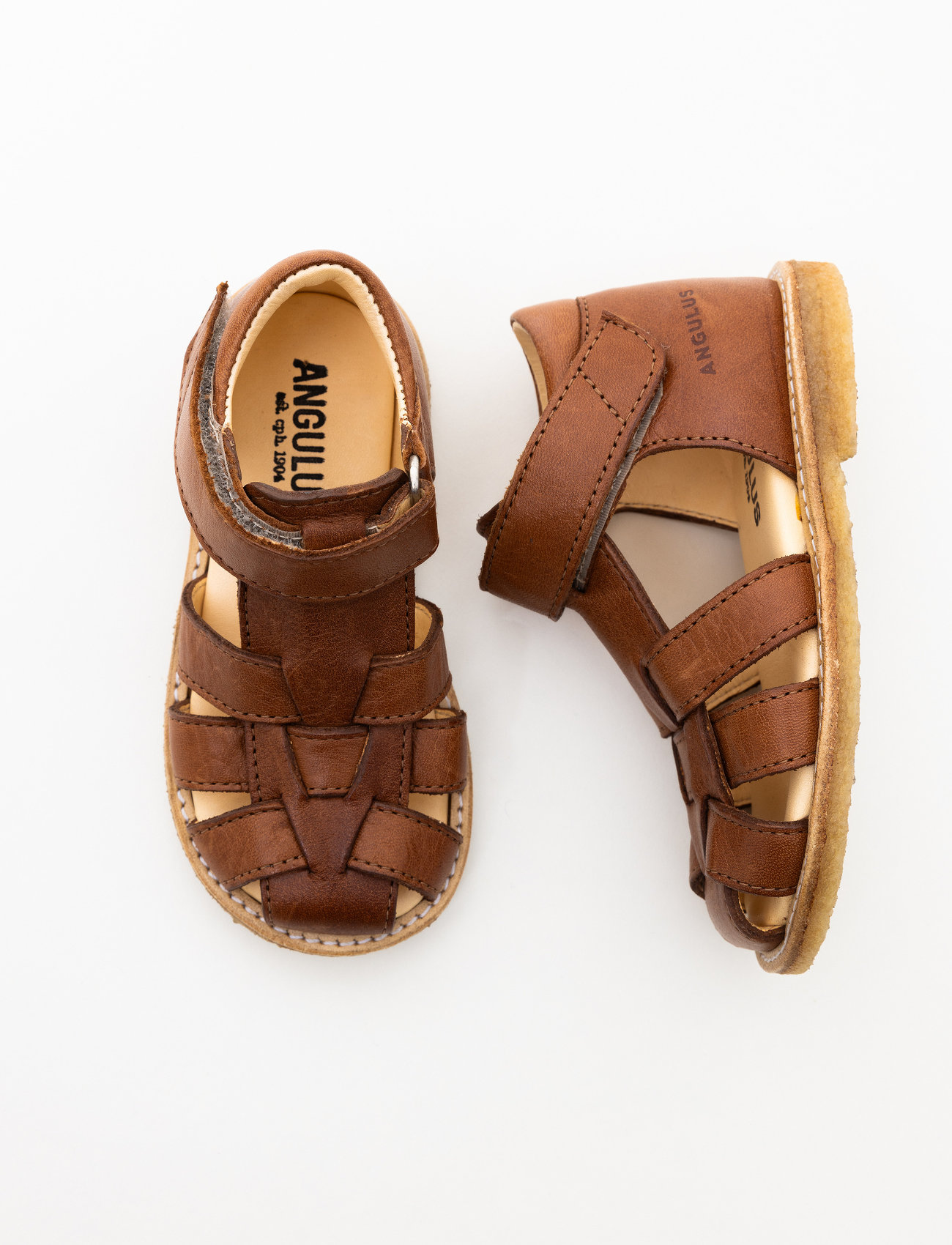 ANGULUS - Sandals - flat - closed toe - - sandals - 1545 cognac - 0