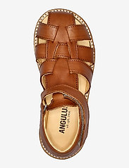 ANGULUS - Sandals - flat - closed toe -  - strap sandals - 1545 cognac - 3