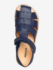 ANGULUS - Sandals - flat - closed toe -  - siksniņu sandales - 1413 blue - 3