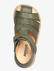ANGULUS - Sandals - flat - closed toe - - vasaras piedāvājumi - 1588 dark green - 3