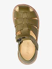 ANGULUS - Sandals - flat - closed toe - - sommerschnäppchen - 1728 olive - 3