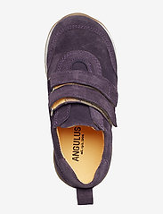 ANGULUS - Shoes - flat - with velcro - 2203 dark purple - 3