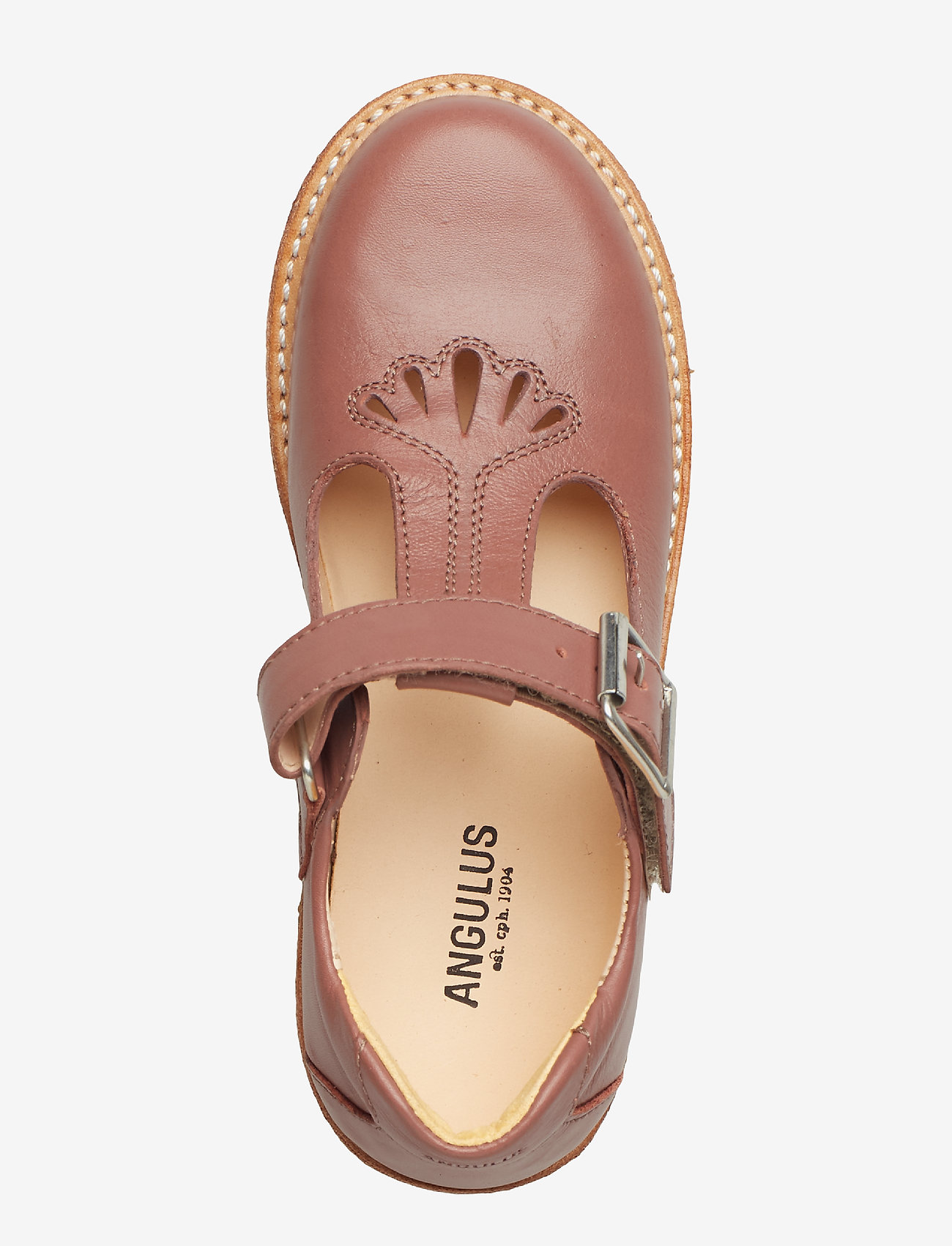 ANGULUS - T - bar Shoe - 1524 plum - 3